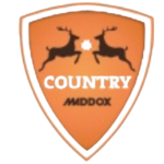 1-1-removebg-preview